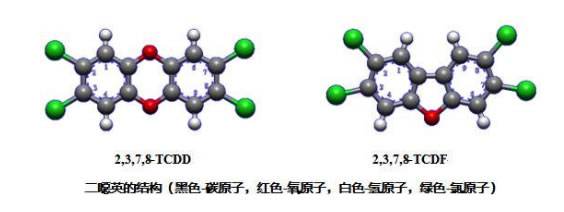垃圾焚燒中二噁英形成的控制