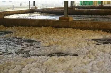 活性污泥膨脹的類型