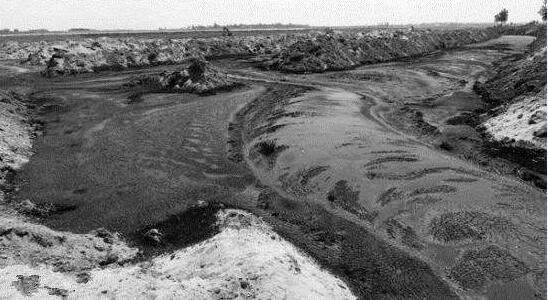 決定污泥處置總費用的因素