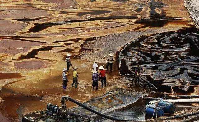 污染土壤的修復技術