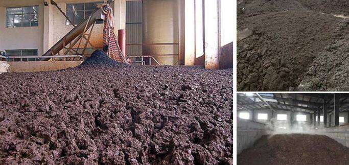 關(guān)于無機污泥和有機污泥的小知識